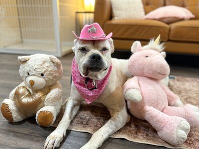 Delilah the sweetest old soul thumbnail 3