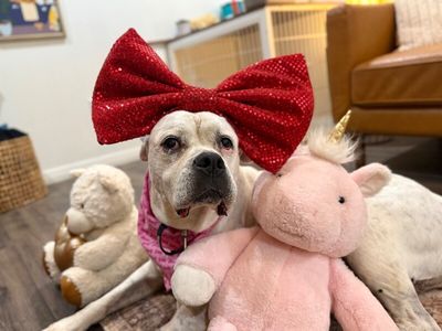 Delilah the sweetest old soul thumbnail 8