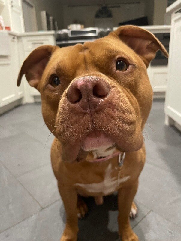 Bubba Boy the Best Guy