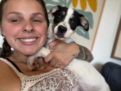 Nile Sweetpea thumbnail 7