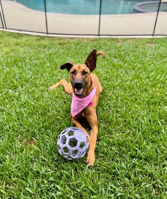 Brooklynn Cherry Your Sunshine Sidekick thumbnail 11