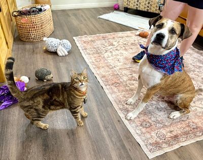 Tigger Tiggy The Best Boy Ever thumbnail 4