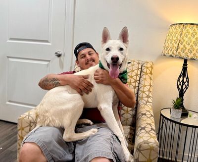 Sid Smitty Guaranteed to Leave you Smitten thumbnail 7