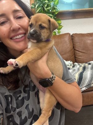 Brie April Cutest Chunk thumbnail 2