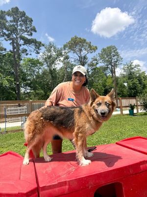 Shasha Honey the Gorgeous Good Girl thumbnail 7