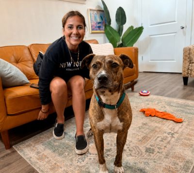 Marley Mae the Brindle Belle Beauty thumbnail 9