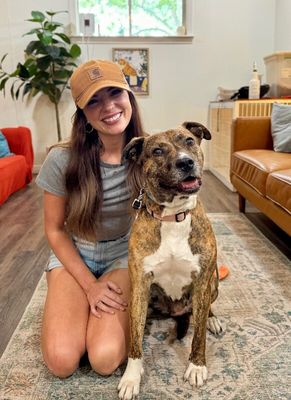 Marley Mae the Brindle Belle Beauty thumbnail 13