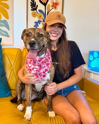 Marley Mae the Brindle Belle Beauty thumbnail 15