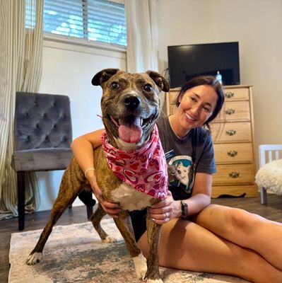 Marley Mae the Brindle Belle Beauty thumbnail 11