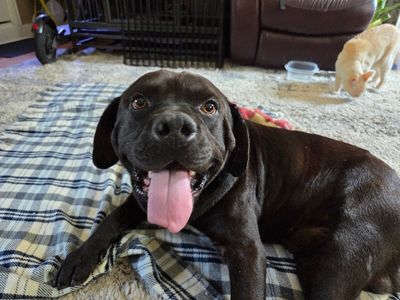 Bubba Bear With The Toothless Smile thumbnail 5