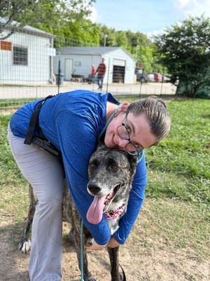 Mygena Hyena Adventures and Cuddles thumbnail 7