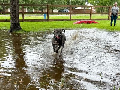 Rocky Water Baby Loves Sticks thumbnail 2