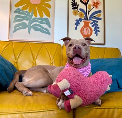 Rumi Cutie the Total Sweetheart thumbnail 15