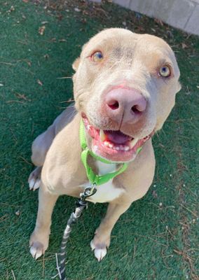 Rumi Cutie the Total Sweetheart thumbnail 5