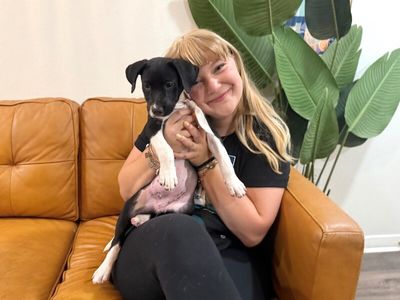 Joan the family pup thumbnail 11