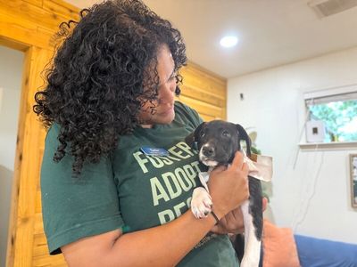 Joan the family pup thumbnail 10