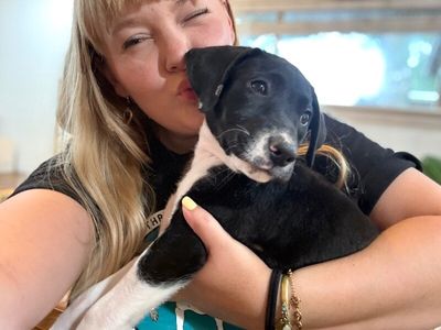 Joan the family pup thumbnail 5