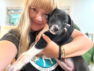 Joan the family pup thumbnail 13