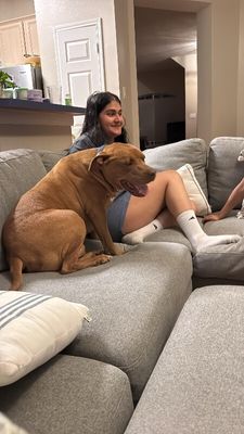 Dixon Flannel Couch Potato Perfection thumbnail 15