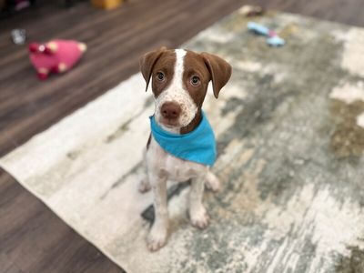 Jesse Freckles thumbnail 2