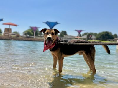 Goose McGraw Wingman Best Boy thumbnail 7