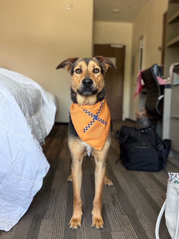 Goose McGraw Wingman Best Boy - Photo 1