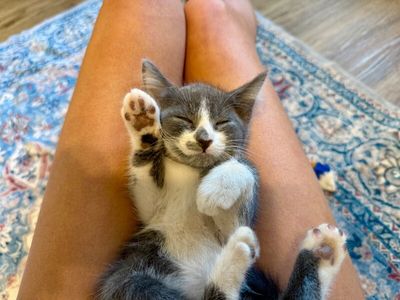 Chattanooga Choo Choo Sweet On You thumbnail 4