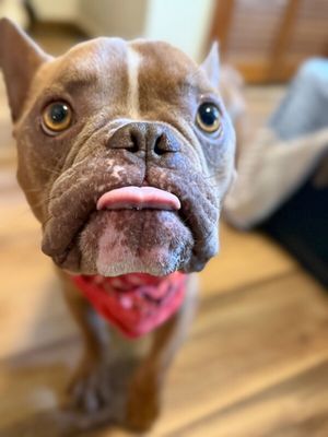 Igor Smooches thumbnail 10