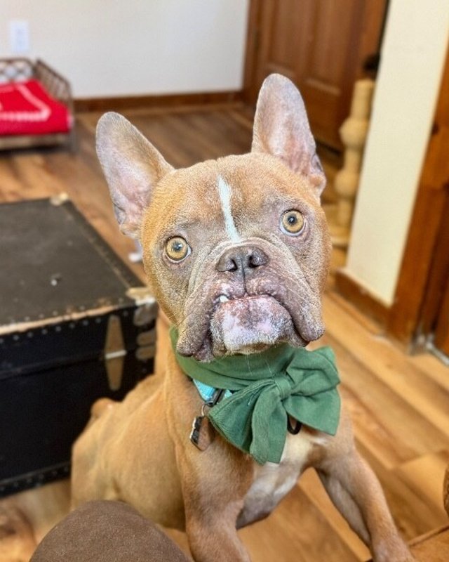 Igor Smooches - Photo 1
