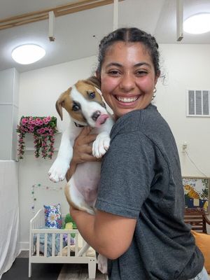 Astro Snugglebug thumbnail 2