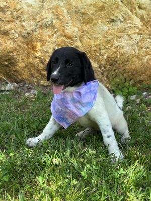 Gracie Good Girl thumbnail 2