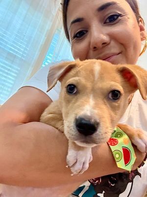 Cannoli The Small and Mighty Cutie thumbnail 9