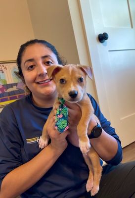 Cannoli The Small and Mighty Cutie thumbnail 7