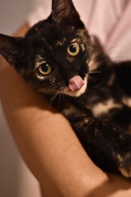 Georgina Faye Sweet Pea thumbnail 7