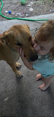 Chickie Nugget The Family Dog thumbnail 5