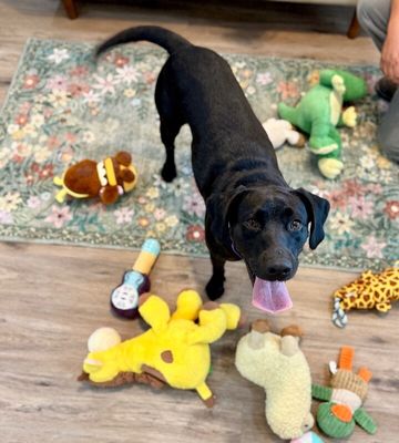 Tessa May Black Lab Beauty thumbnail 3