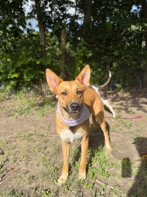Penelope Pookie Smiles thumbnail 7