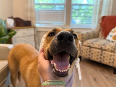 Penelope Pookie Smiles thumbnail 10