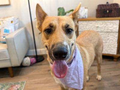 Penelope Pookie Smiles thumbnail 12