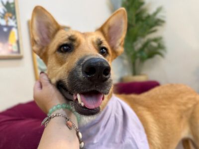 Penelope Pookie Smiles thumbnail 1