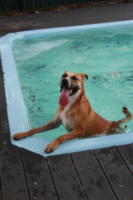 Adalynn Eloise A Water Loving Good Time Girl thumbnail 14