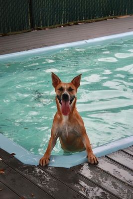 Adalynn Eloise A Water Loving Good Time Girl thumbnail 8