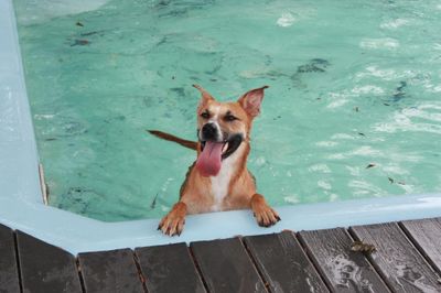 Adalynn Eloise A Water Loving Good Time Girl thumbnail 18