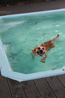 Adalynn Eloise A Water Loving Good Time Girl thumbnail 2