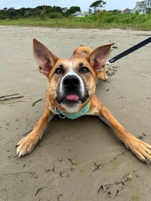 Adalynn Eloise A Water Loving Good Time Girl thumbnail 5