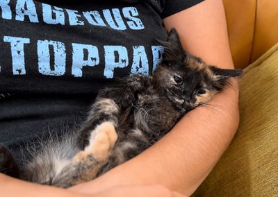 Mittens Cozy thumbnail 7