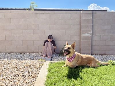Joy the Bestest Boy thumbnail 14