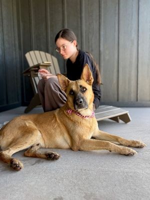 Joy the Bestest Boy thumbnail 4