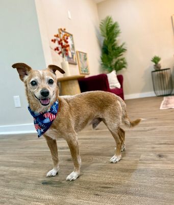 Frankie Lou Gentle Snuggly Soul thumbnail 15