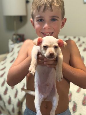 Rhett Williams a very good boy thumbnail 15